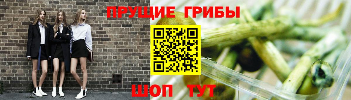 Галлюциногенные грибы GOLDEN TEACHER  Псилоцибиновые грибы Cubensis  Истра  Вход с VPN 